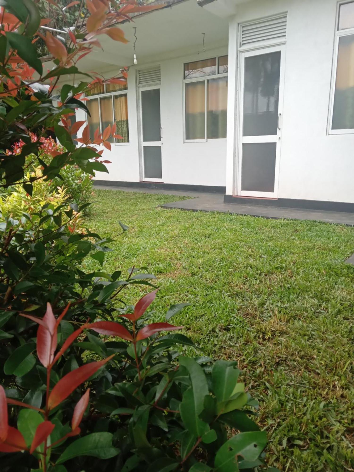 Rainforest Holiday Inn Deniyaya Exterior foto